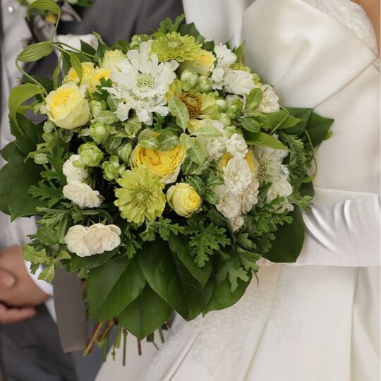 IMG_0052-thumb-867x1300-28 (1)