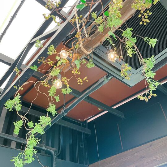 LINE_ALBUM_ディスプレイフラワー_221201_6