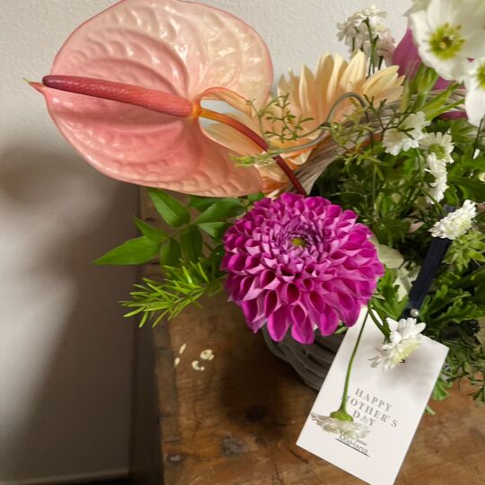 LINE_ALBUM_20230912_230912_18