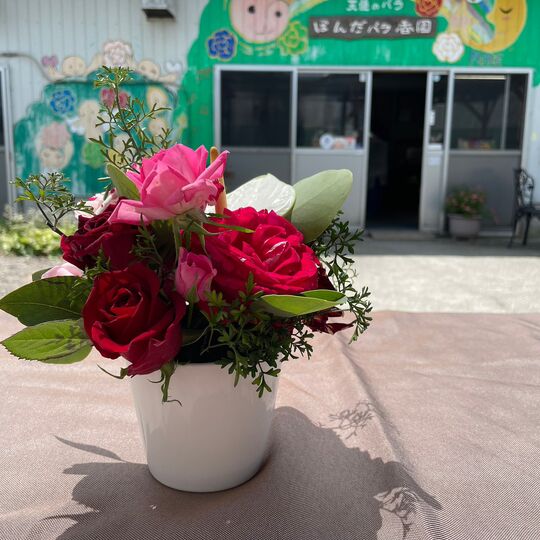 LINE_ALBUM_20230912_230912_26